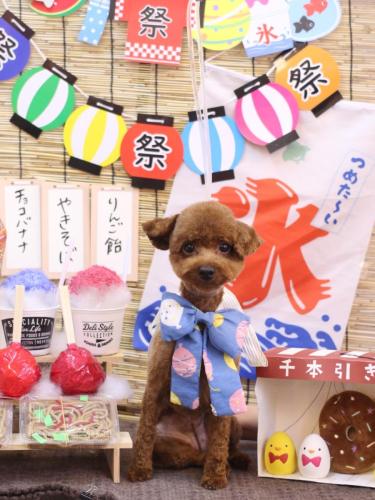 20240719もかちゃん